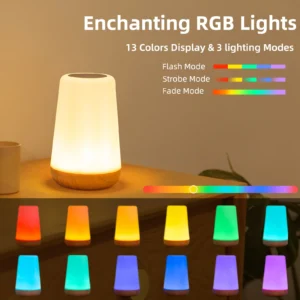 13-Color Changing RGB Night Light Table Lamp Dimmable Bedside Lamp Remote USB Rechargeable for Bedroom Portable Room Lighting